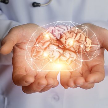 Detoks Fenix, wpływ alkoholu na mózg Szkodliwy wpływ alkoholu na mózg.